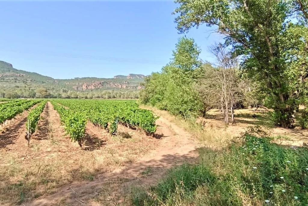 Superbe Villa Cadre Campagne Roquebrune-sur-Argens Buitenkant foto